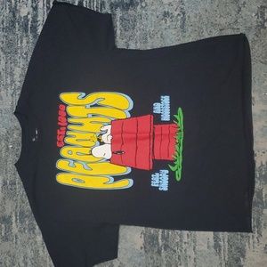 Peanuts Snoopy and Woodstock mens graphic tee